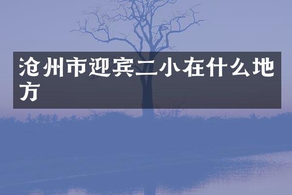 沧州市迎宾二小在什么地方