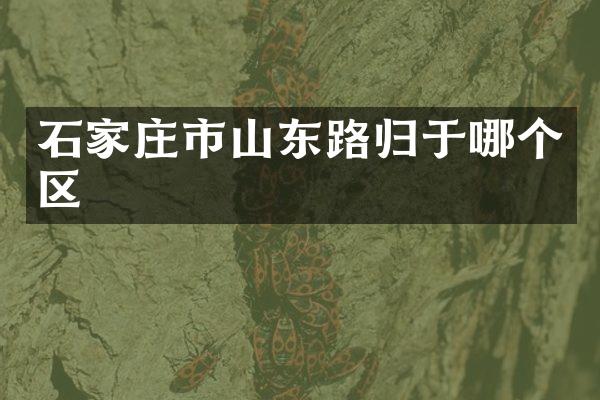 石家庄市山东路归于哪个区