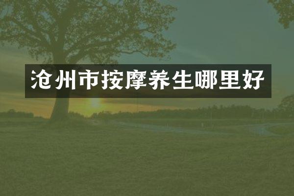沧州市按摩养生哪里好