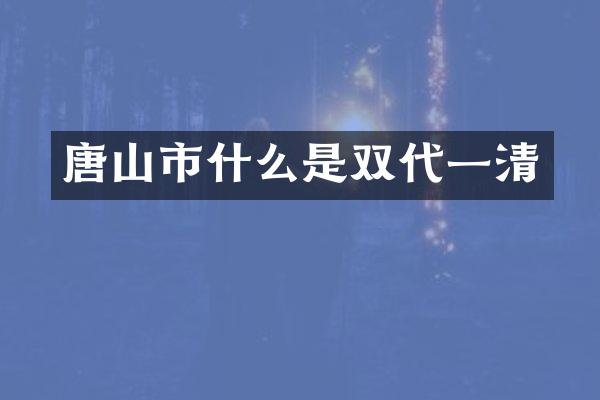 唐山市什么是双代一清