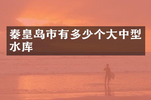 秦皇岛市有多少个大中型水库