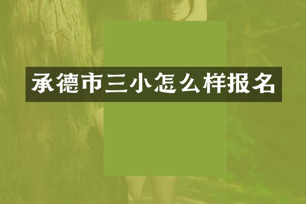 承德市三小怎么样报名