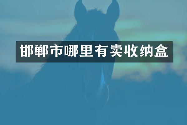 邯郸市哪里有卖收纳盒