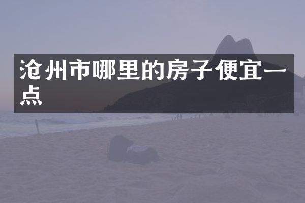 沧州市哪里的房子便宜一点