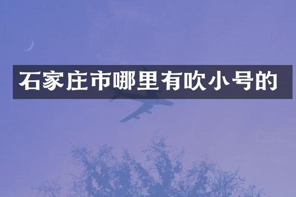 石家庄市哪里有吹小号的