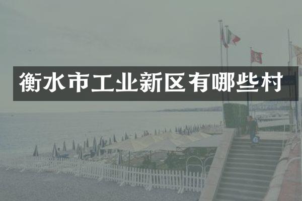 衡水市工业新区有哪些村