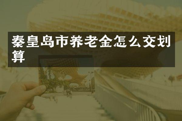 秦皇岛市养老金怎么交划算