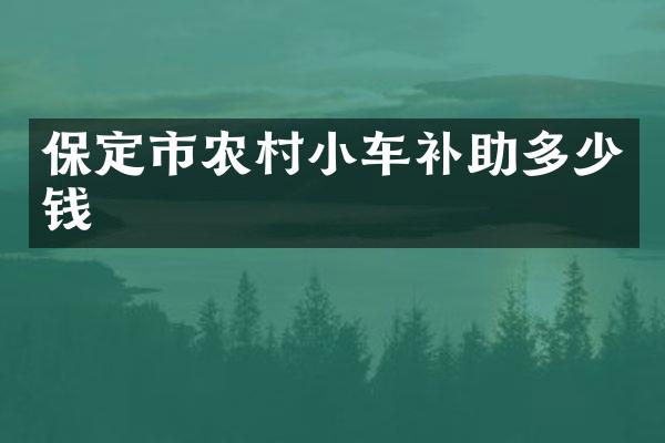保定市农村小车补助多少钱