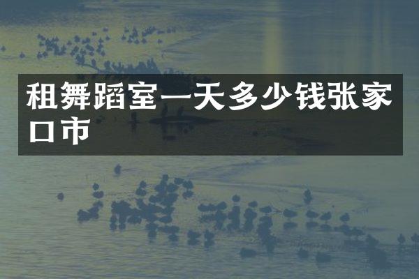 租舞蹈室一天多少钱张家口市