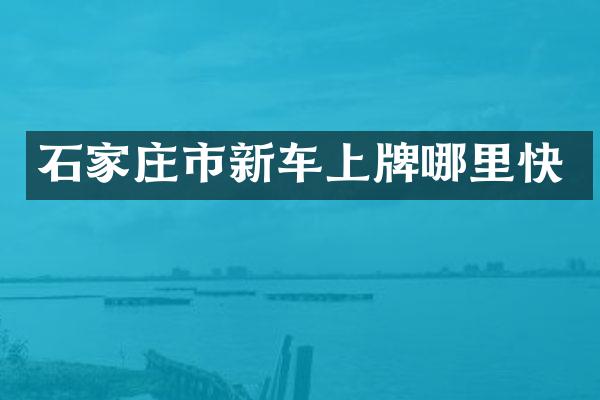 石家庄市新车上牌哪里快