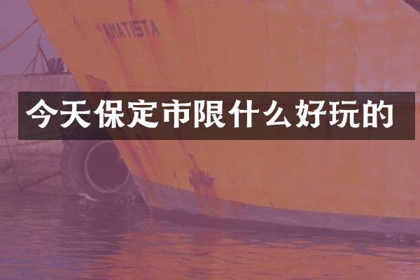 今天保定市限什么好玩的