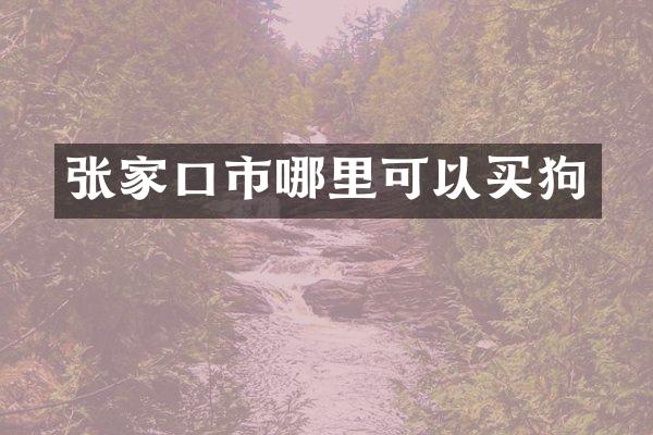 张家口市哪里可以买狗