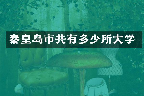 秦皇岛市共有多少所大学