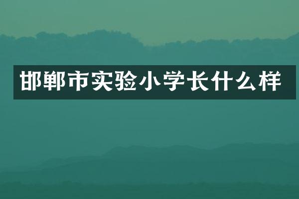 邯郸市实验小学长什么样