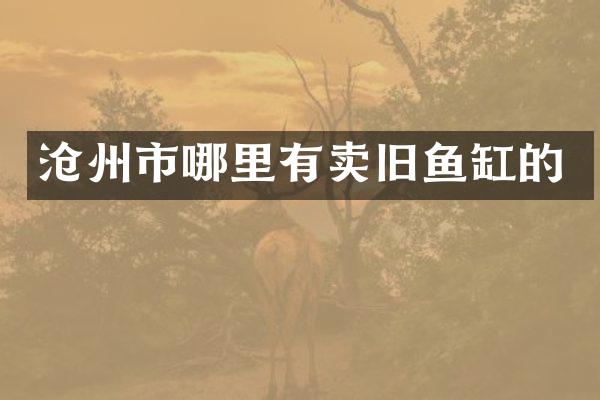 沧州市哪里有卖旧鱼缸的