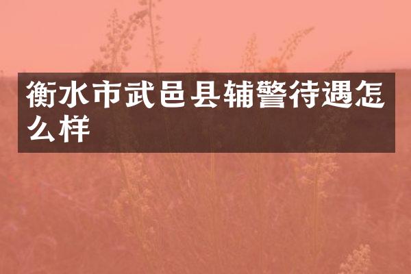 衡水市武邑县辅警待遇怎么样