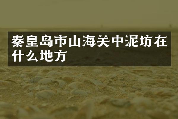 秦皇岛市山海关中泥坊在什么地方
