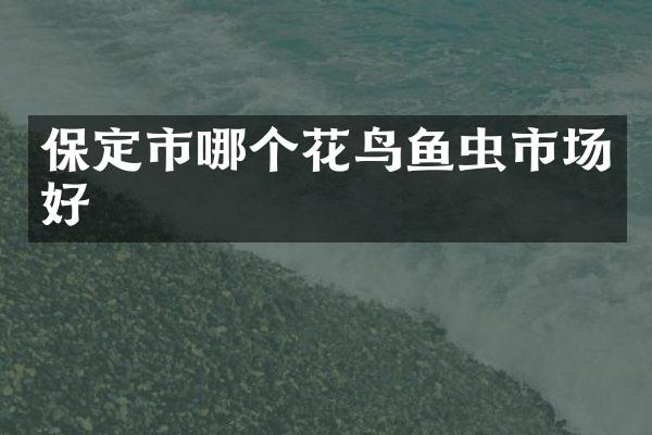 保定市哪个花鸟鱼虫市场好