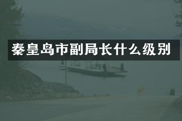 秦皇岛市副局长什么级别