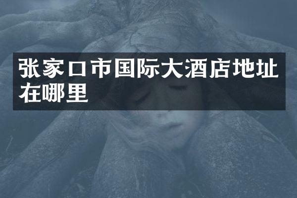 张家口市国际大酒店地址在哪里