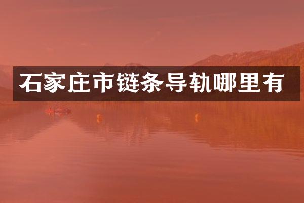 石家庄市链条导轨哪里有