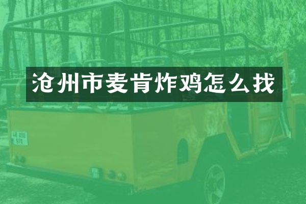 沧州市麦肯炸鸡怎么找