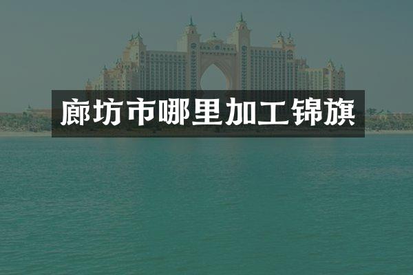廊坊市哪里加工锦旗