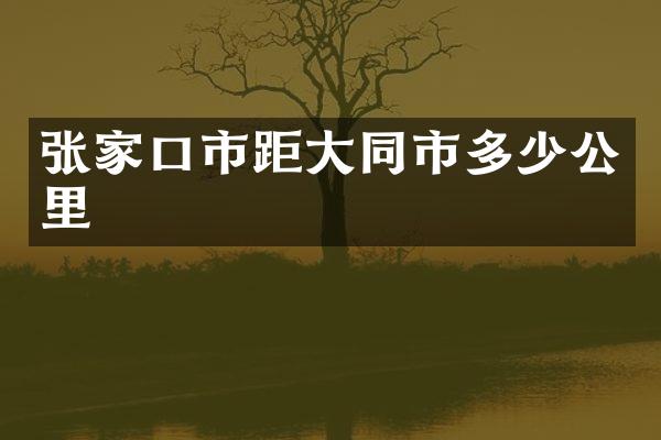 张家口市距大同市多少公里