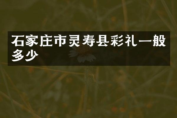 石家庄市灵寿县彩礼一般多少