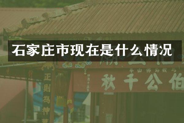 石家庄市现在是什么情况