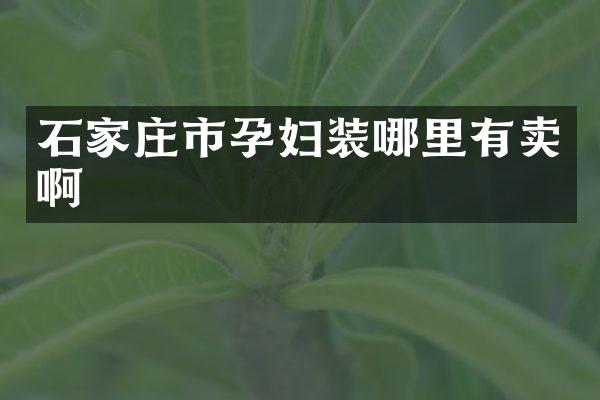石家庄市孕妇装哪里有卖啊