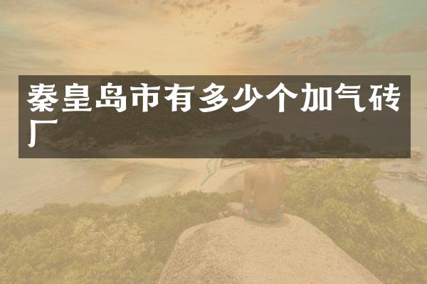 秦皇岛市有多少个加气砖厂