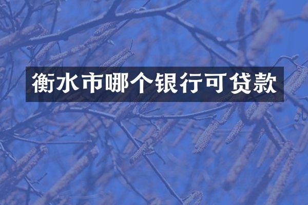 衡水市哪个银行可贷款