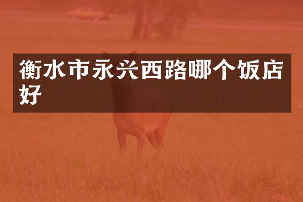 衡水市永兴西路哪个饭店好