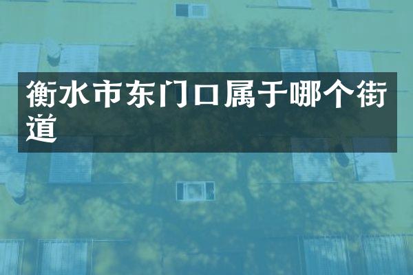 衡水市东门口属于哪个街道