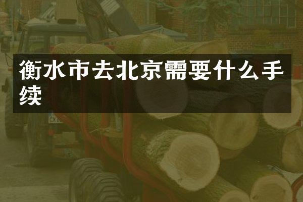 衡水市去北京需要什么手续