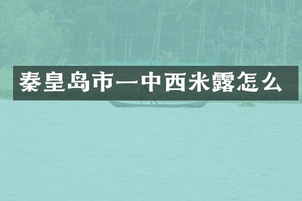 秦皇岛市一中西米露怎么