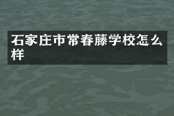 石家庄市常春藤学校怎么样