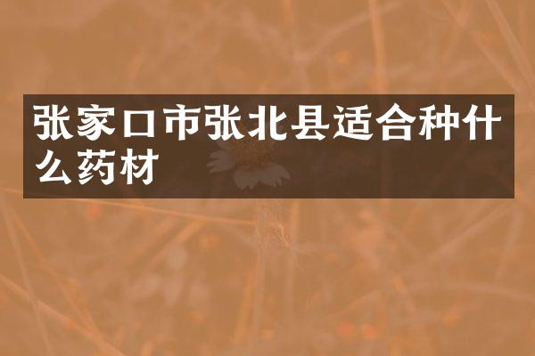 张家口市张北县适合种什么药材