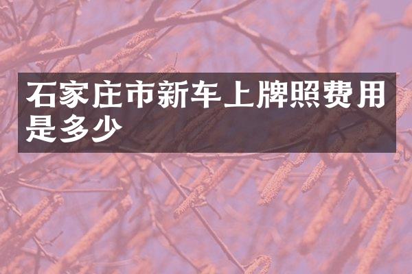 石家庄市新车上牌照费用是多少