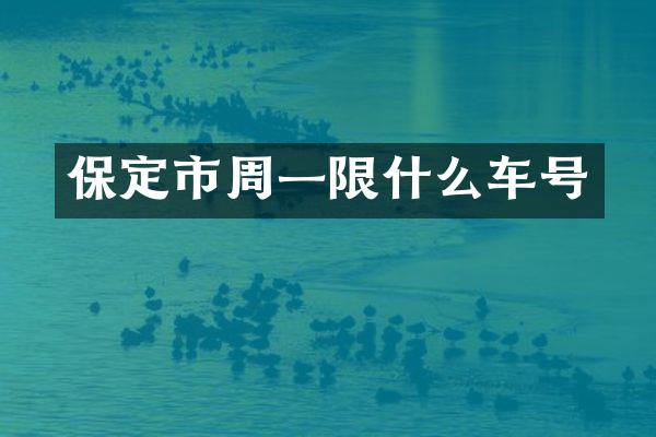 保定市周一限什么车号
