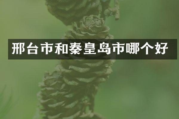 邢台市和秦皇岛市哪个好