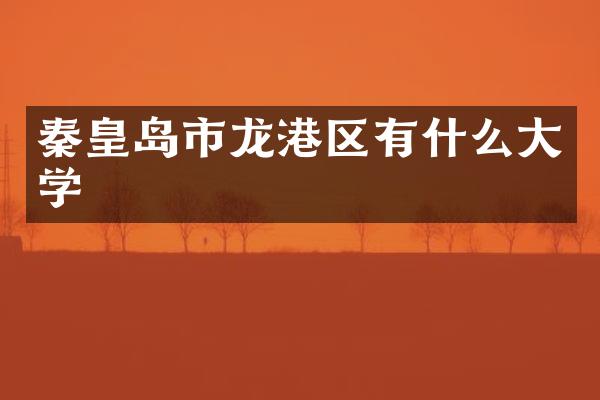 秦皇岛市龙港区有什么大学