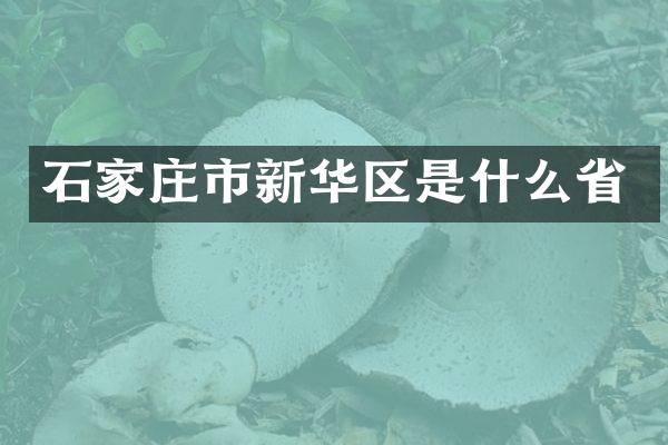 石家庄市新华区是什么省
