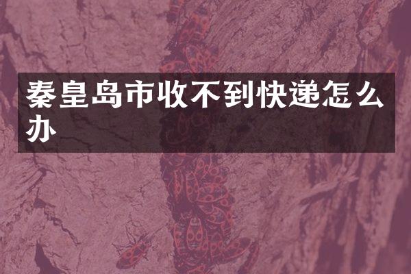 秦皇岛市收不到快递怎么办