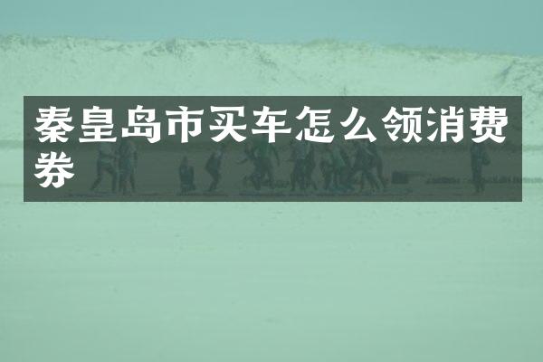 秦皇岛市买车怎么领消费券