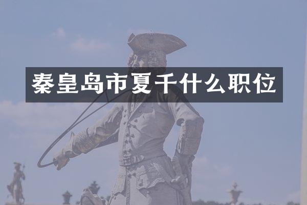 秦皇岛市夏千什么职位