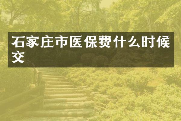 石家庄市医保费什么时候交