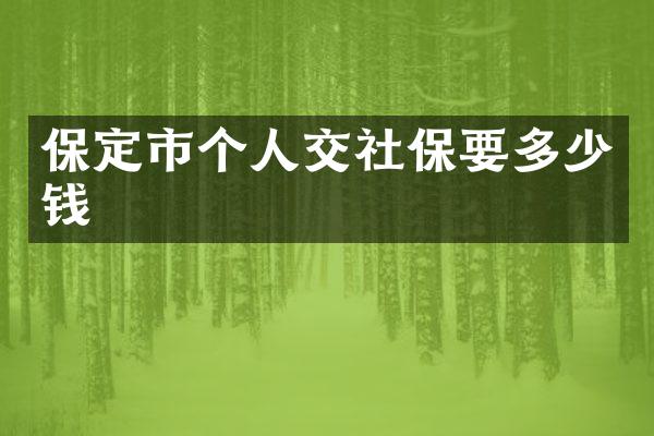 保定市个人交社保要多少钱