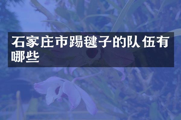 石家庄市踢毽子的队伍有哪些